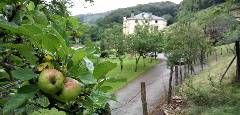 Agroturismo Palacio San Narciso